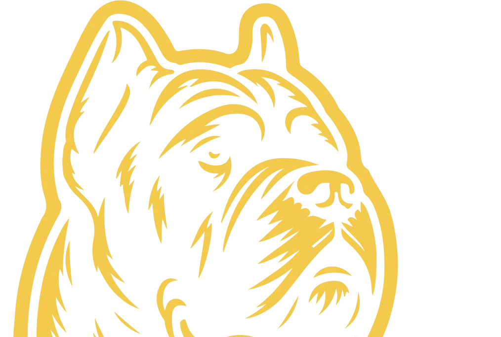 Recurso Cane Corso amarillo